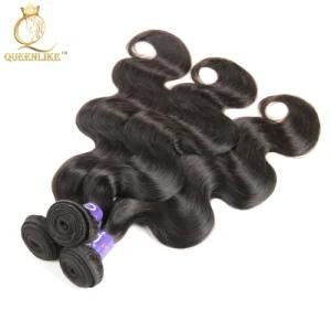 Burmese Curly Human Virgin Cuticle Aligned Hair Weave