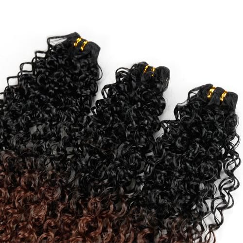 Kinky Curly Human Hair Weave 3 Bundles Ombre Color
