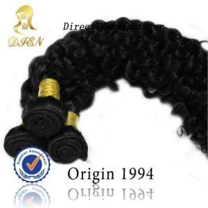 100% Raw Virgin Brazilian Extension Double Hair