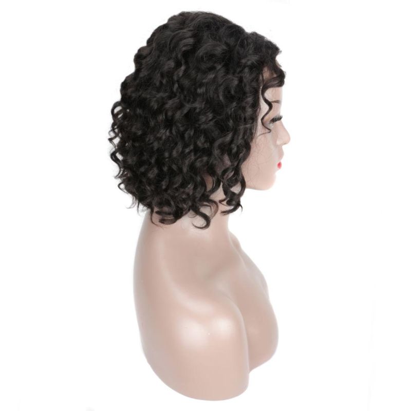 Wholesale Afro Kinky Jerry Curly Front Full Lace Human Hair Wig