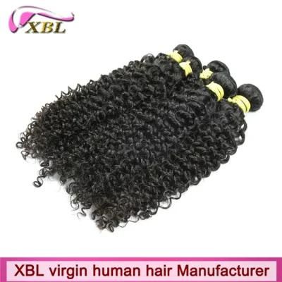 Tangle Free Virgin Brazilian Kinky Curly Hair