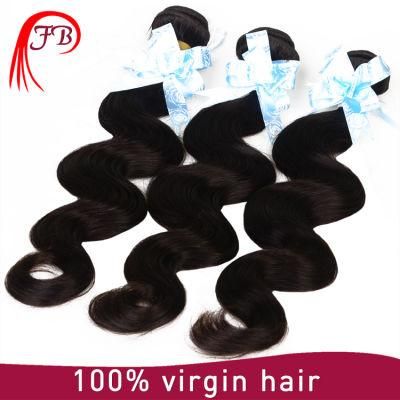 8A Grade 100% Body Wave Mongolian Virgin Hair