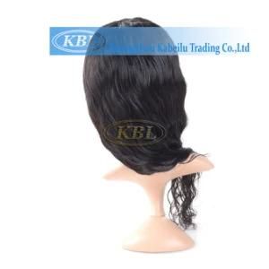 Front Lace Wig Brazilian Human Hair