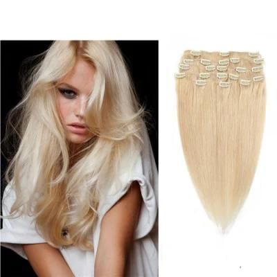 Wholesale Price Clip in Hair Extension 7PCS 100% Virgin Hair (AV-CHL07-16-60)