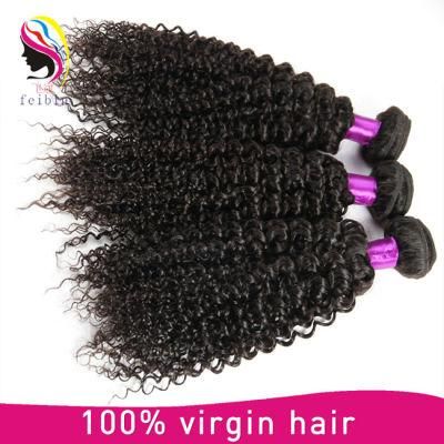 Wholesale 8A Brazilian Human Virgin Remy Hair Weft