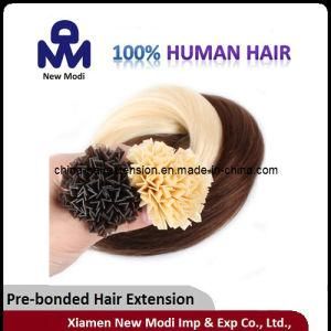 Wholesale 22-Inch Natural Nai Tip/V Tip/U Tip Human Hair Extension