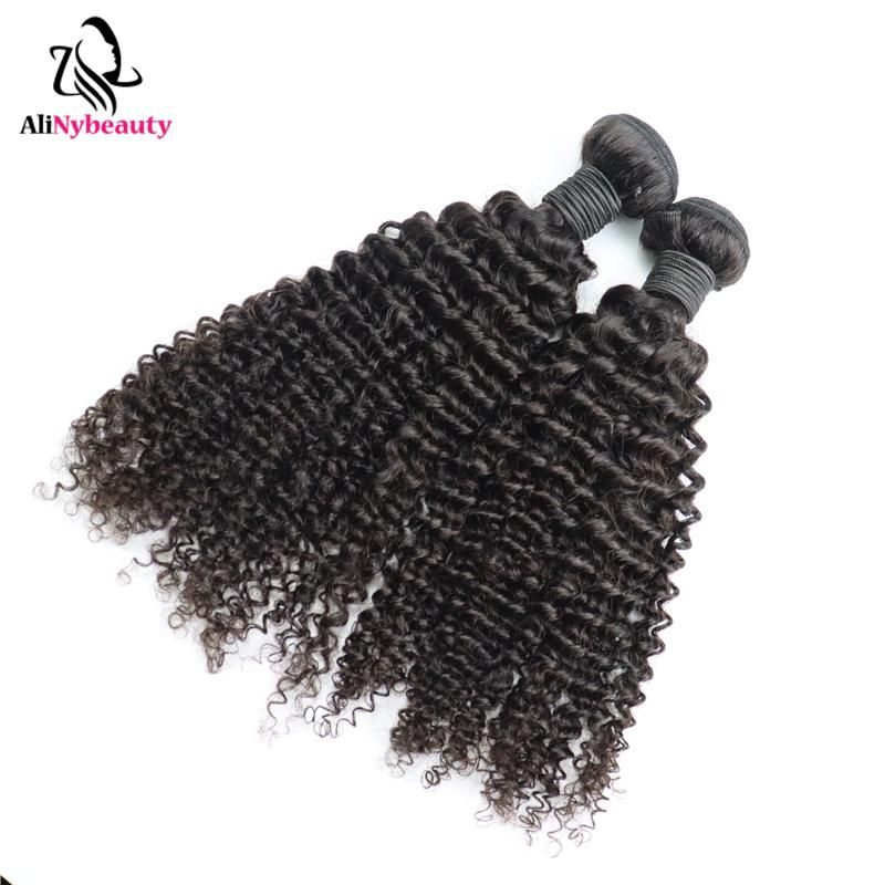 Alinybeauty Virgin Brazilian Cuticle Aligned Hair Kinky Curly Hair with HD Lace Closure Frontal, Indian Human Hair Extension Hot Products