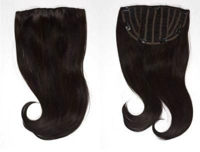 Clip on Hair Extension Virgin Hair Extensions Clip in Sets (AV-HW00-2)