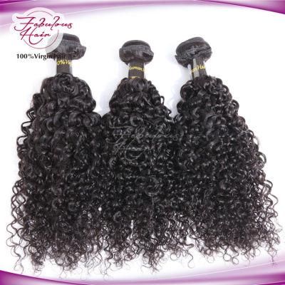 True Human Hair Indian Remy Hair Weaves Curly Hair Bundles