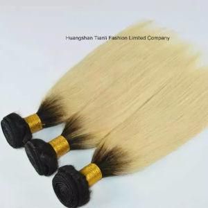 Wig Factory Ombre Brazilian Hair Extension Natural Straight