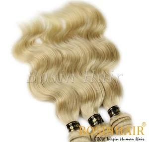 Aaaaa Grade European Body Wave Remy Human Hair