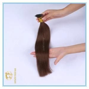 High Quality Customized Colored Double Drawn I Tip Extension Hair with Whole Sale Price Ex-008