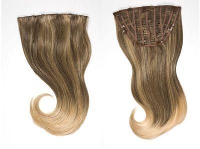 Mixed Colors Clip on Hair Extension Virgin Hair Extensions Hairpieces Half Wigs (AV-HW00-6)