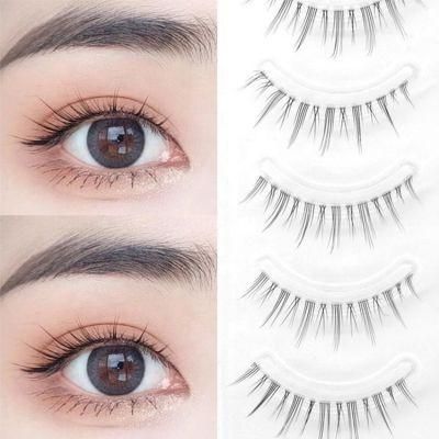 Self Adhesive 5 Pairs Multipack 3D Mink Handmade Lashes False Eyelashes for Daily Makeup