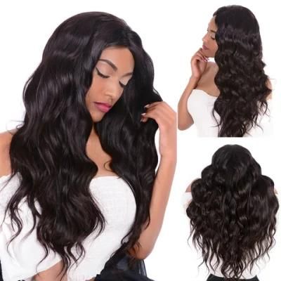 Alinybeauty Human Hair Brazilian Virgin Body Wave Lace Front Wig