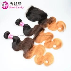 Factory Directly Selling Ombre Hair Extension Mongolian Body Wave Virgin Human Hair with Closure