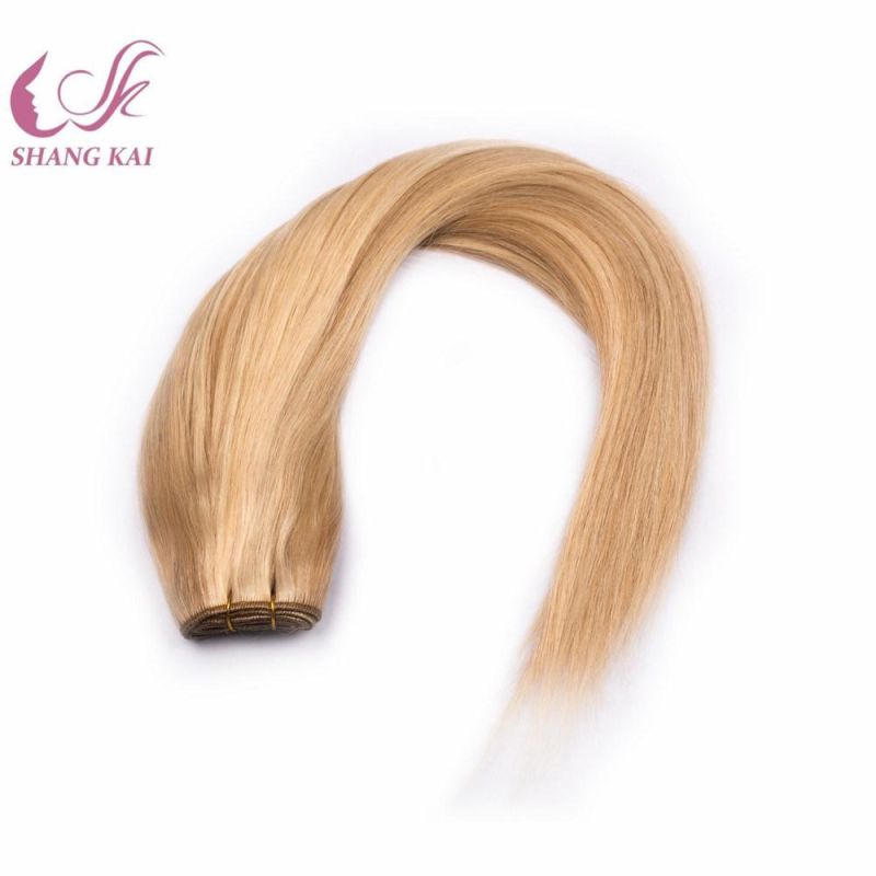 High Quality Doube Drawn Cuticle Aligned Brazilian Human Hair Extension 100% Human Hair Weaving/Weft