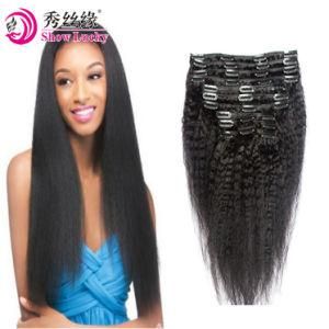 Wholesale Clip in Human Hair Extension Brazilian Remy Human Hair Kinky Straight Real Hair Factory Send by DHL UPS FedEx