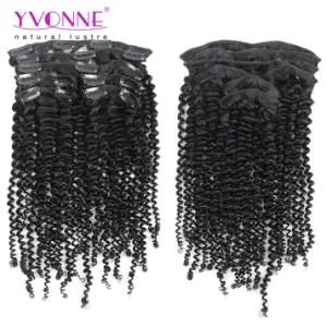 Wholesale Price Brazilian Virgin Hair Extension Clip in Hair Extension Kinky Curly Hair