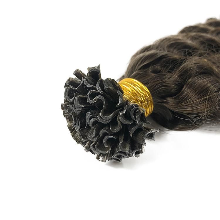 12A Raw Unprocessed U Tip Human Hair Extensions #Black