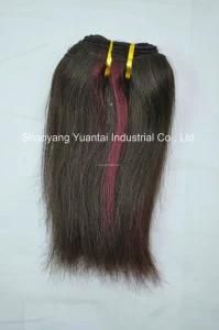 Two Tone Ombre Virgin Human Hair Weft (Weaving Bundle) Extension