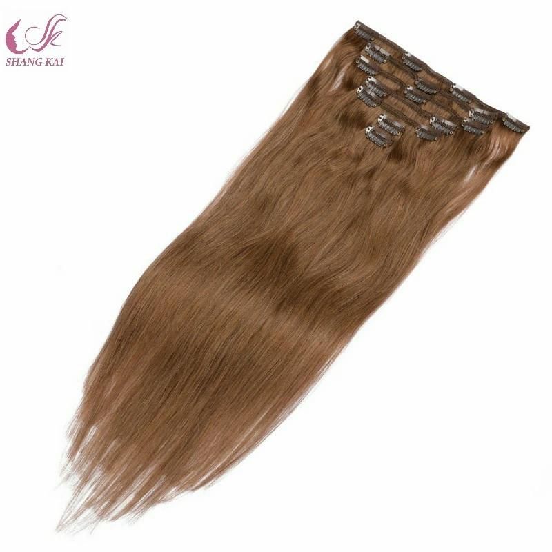 High Quality 100% Remy Human Hair Clip in Extension Human Hair Extension