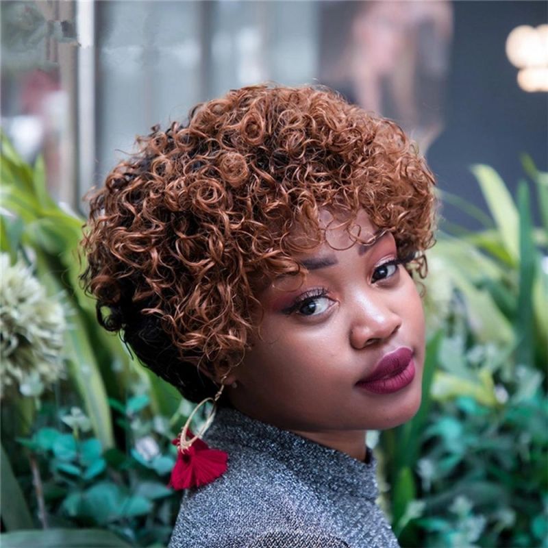 Kbeth Brown Kinky Curly Machine Made Wig for Ladies Short Cool Spring Fashion Remy Custom Accept China Factory Wholesale Price Human Hair Wigs for Women