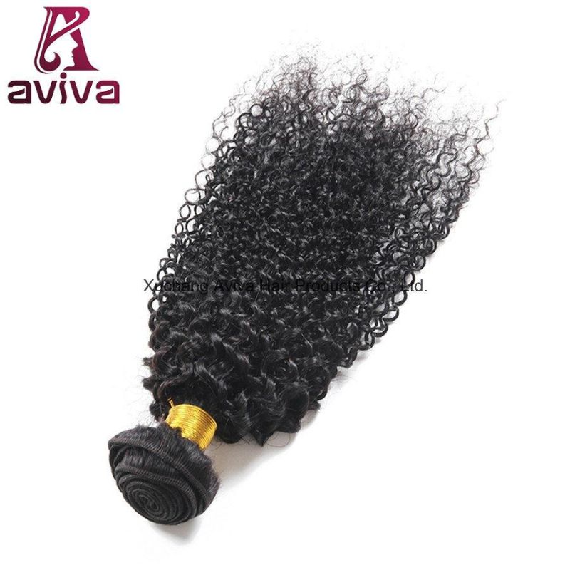 Kinky Curl 100% Virgin Hair Ombre Natural Virgin Hair Extension