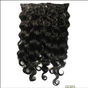 Clips in Human Hair Extension