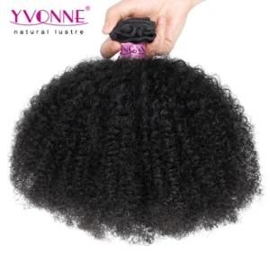 8A Yvonne Hair Afro Kinky Curly Virgin Human Hair Brazilian Hair