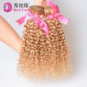 Blonde Color #27 Cambodian Kinky Curly Unprocessed Virgin Hair Weaving at Wholesale Price
