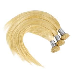 Brazilian Virgin Bundle Cuticle Aligned Hair 613 Blonde Color 100 Human Hair