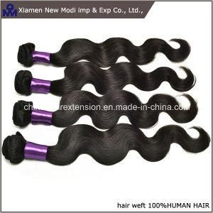 Body Wave Human Hair Extension Remy Hair Weft