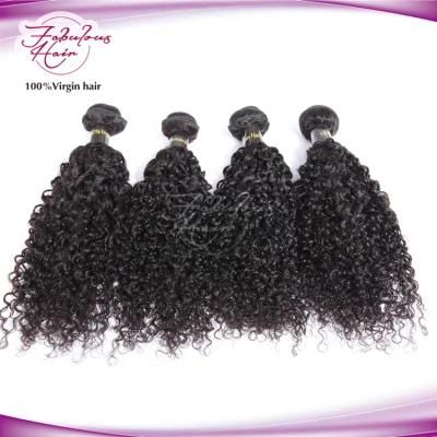 Virgin Human Hair Bundles Curly Human Hair Unprocessed