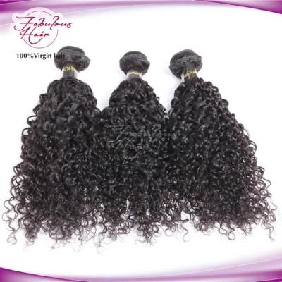 Wholesale Remy Curly Hair Mink Brazilian Hair