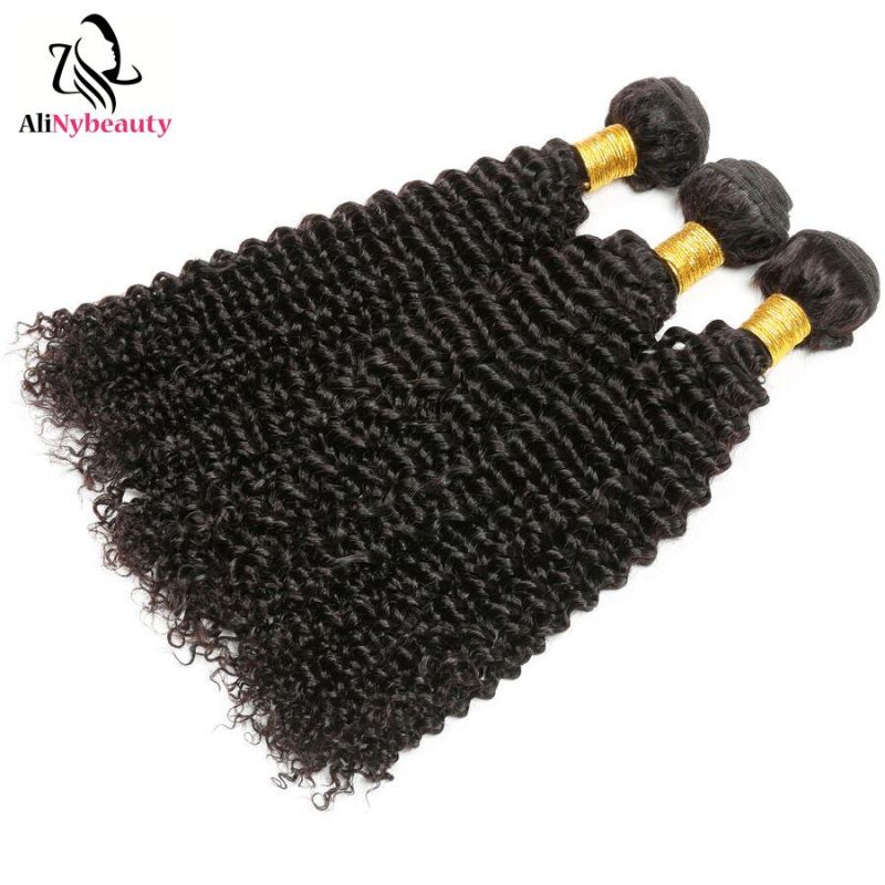 Alinybeauty Top Sales Human Virgin Hair Brazilian Kinky Curly Weft