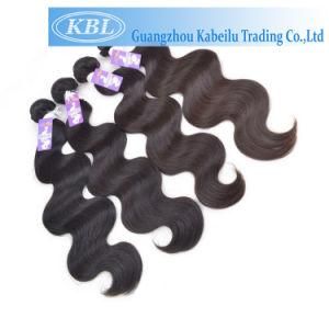 Wholesaler Brazilian Hair Extension