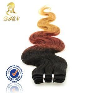 100% Virgin India Ombre Hair Weave