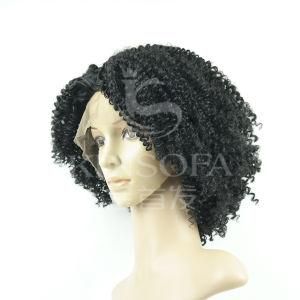 100% Human Hair Wig (kinsofa 243432)