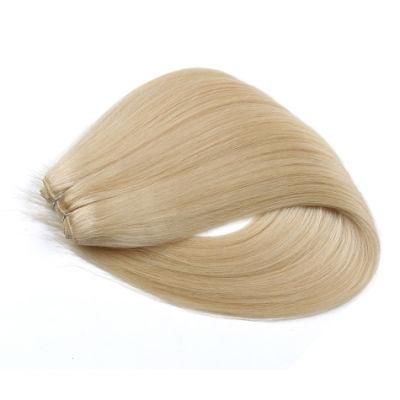 Wholesale Cheap Indian Human Hair Double Drawn Weft Remy Hair