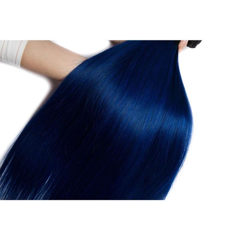 Straight Ombre Hair Bundles with Closure Blue Brazilian Human Hair Weave Bundles with Closure Remy Hair