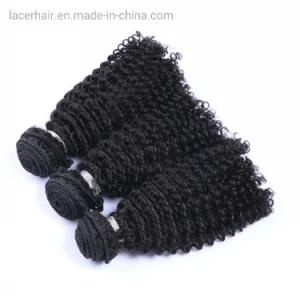 Brazilian Human Hair Wholesale Brazilian Hair Kinky Curly Hair Extension of All Length in Stock