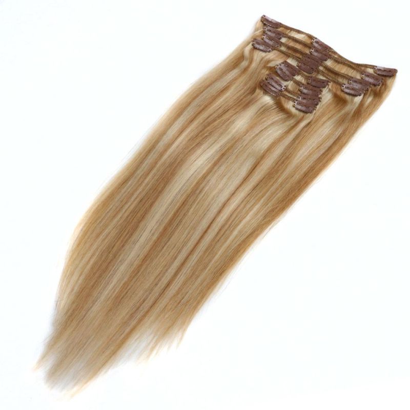 Fashion Color Clip on Hair Extension (WHH-CP-017)