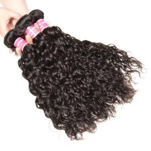 Natural Water Wave Virgin Human Hair Weave Weft