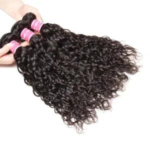 Pb Hair Water Wave Hair Bundles Weave Brazilian Human Hair