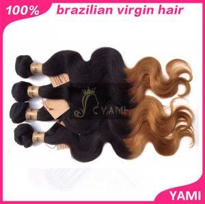 Top Quality 6A Grade 2 Tone Ombre Brazilian Hair