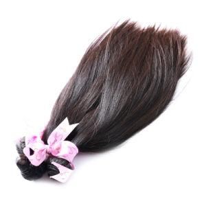 Hot Sale Virgin Malaysian Human Hair Extensions