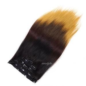Peruvian Ombre T2/8 Straight Clip-in 100% Human Hair
