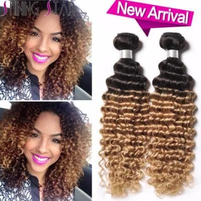 Ombre Brazilian Hair with Closure Brazilian Virgin Hair Extension