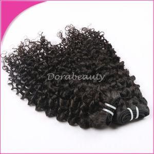 Brazilian Human Virgin Hair Curly Hair